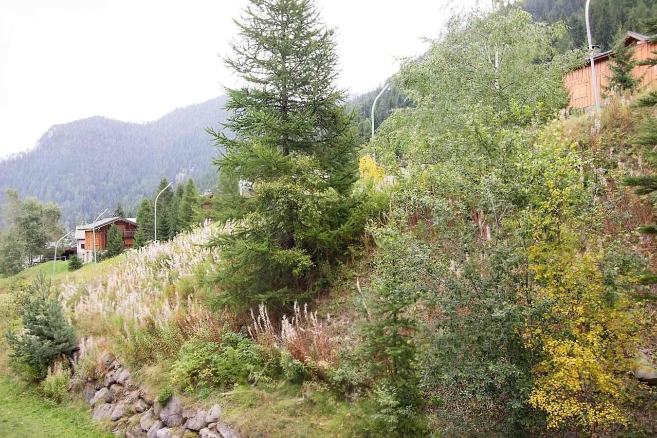 Eine Holzhütte in den Bergen, umgeben von dichtem Wald und felsigem Gelände.