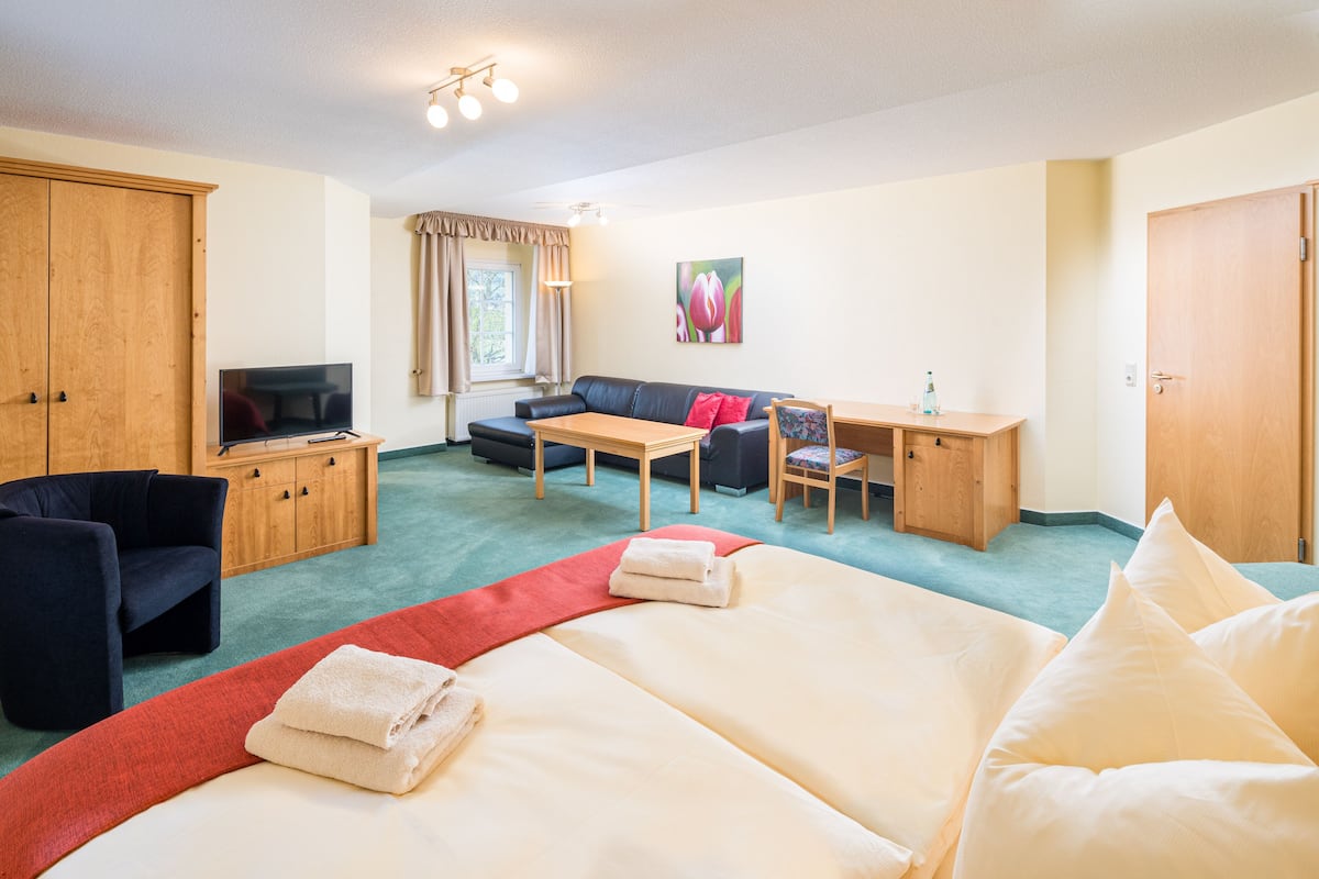 A hotel room with a bed, a desk, a sofa, a TV, and a wardrobe.