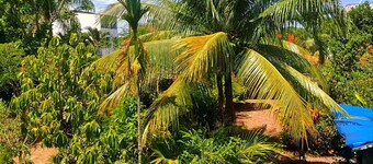 Cozy apartment near Pinhal beach Taquary oasis of peace Guaibim Valença