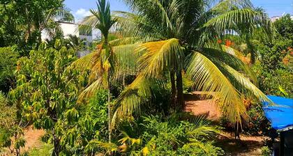 Cozy apartment near Pinhal beach Taquary oasis of peace Guaibim Valença