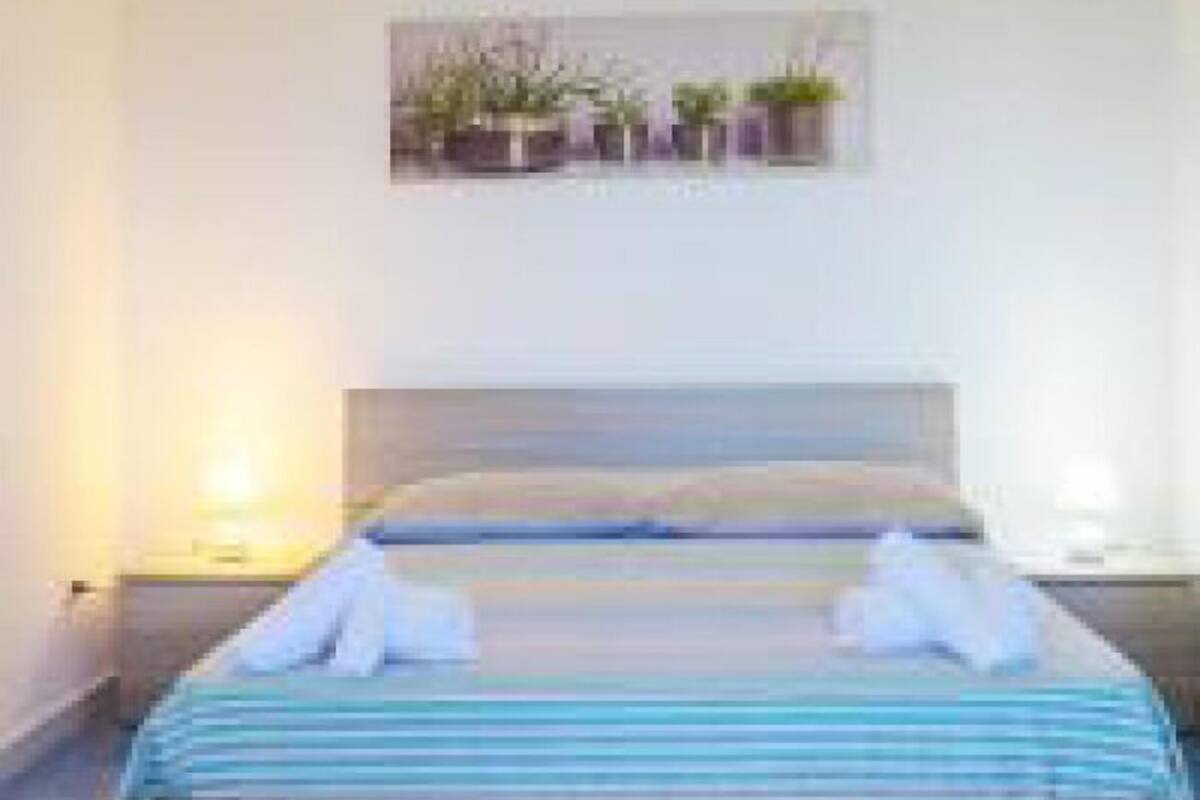 A modern hotel room with a single bed, a bedside table, and a wall-mounted shelf with potted plants.