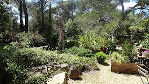 A garden with various plants, a wooden bench, and a gravel path. - Chambre d hôte (Murs)