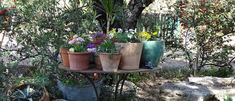 Terrein van de accommodatie