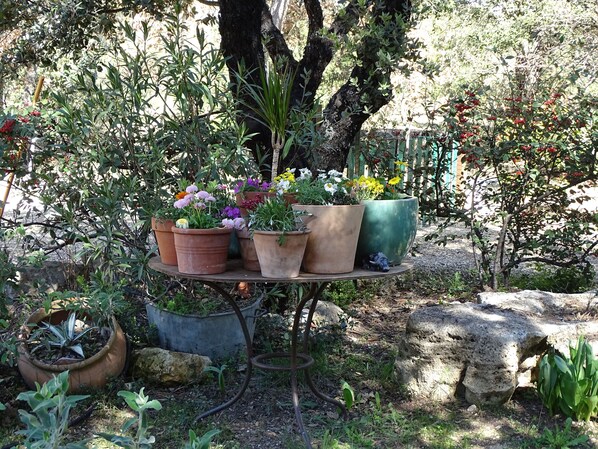 المنطقة المحيطة بالمنشأة