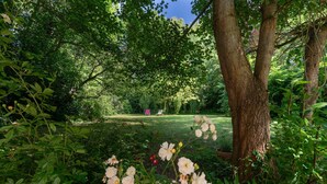 Un jardin luxuriant, avec une grande variété de plantes et de fleurs, un tronc d’arbre imposant et, au loin, une pelouse et une chaise rose.