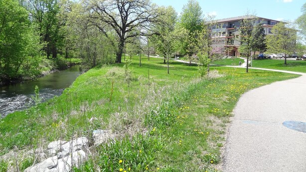 Un parque con un río, césped verde y árboles. Se observa un edificio al fondo.