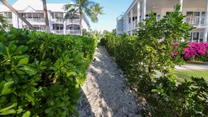 A pathway flanked by lush greenery and a white building with a dome-shaped roof.