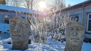 外観の詳細