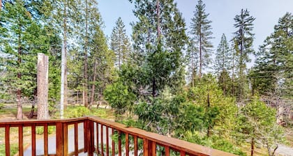 Cozy cabin with large deck, grill, fast WiFi, central AC, & wood-burning stove
