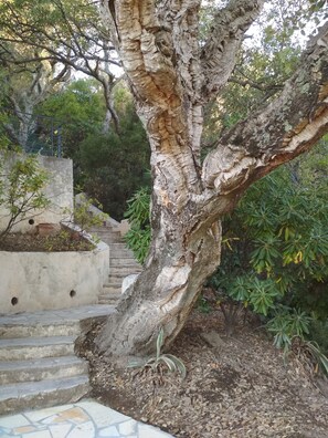 Overnattingsstedets uteområder