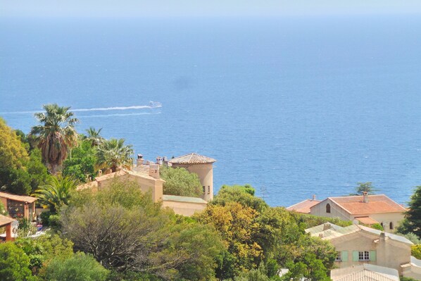 Blick auf die Küste mit Gebäuden, Palmen und blauem Meer.