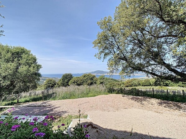 A scenic outdoor area with a gravel path, surrounded by lush greenery and flowering plants.