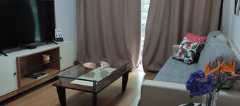 Comfortable apartment in the city center