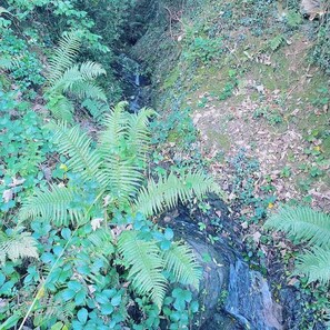 Cabaña | Jardines del alojamiento