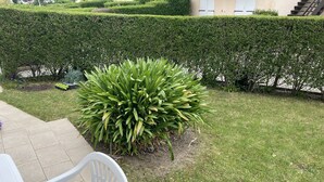 Ein ordentlich geschnittener Heckenstreifen, ein kleiner Strauch und ein weißer Plastikstuhl in einem Garten.