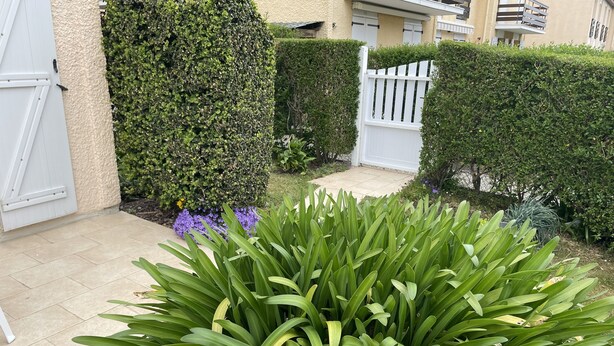 Ein gepflegter Garten mit verschiedenen Pflanzen, darunter ein großer Strauch und ein Heckenstreifen, vor einem Gebäude mit einem weißen Tor und einer beigen Mauer.