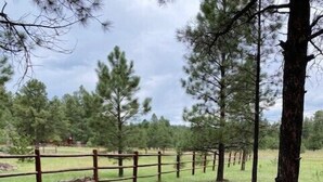 A fenced outdoor area with trees and a grassy field. - Bear Haven on Northwoods Road (Greer)