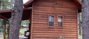 Bear Haven on Northwoods Road