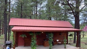 A rustic cabin with a red roof, wooden walls, and a porch with hanging vines. - Bear Haven on Northwoods Road (Greer)