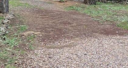 Bear Haven on Northwoods Road