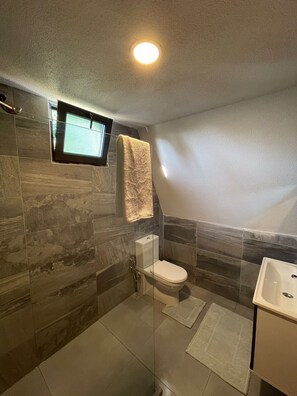 Un baño con inodoro, lavabo y ducha.