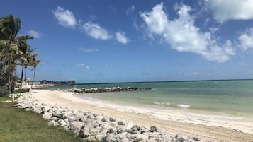 Ranta lähistöllä, aurinkotuoleja, rantapyyhkeitä