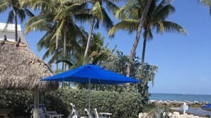Une terrasse au bord de la plage, dotée de chaises longues, d’une structure à toit de chaume et offrant une vue sur l’océan.
