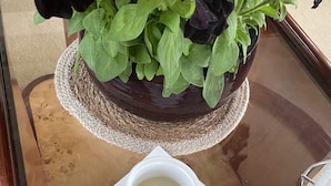 Ein weißer Teller mit einer Banane, Walnüssen und einer Tasse Flüssigkeit auf einer spiegelnden Oberfläche.