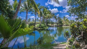 A serene tropical landscape with a calm pond surrounded by lush greenery and palm trees. - Punta Cana Condo with Swimming Pool in Cocotal (Punta Cana)
