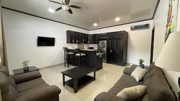 Flat-screen TV, fireplace