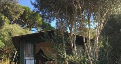 LODGES 2 SAFARI LES LAURIERS ON LEVANT ISLAND