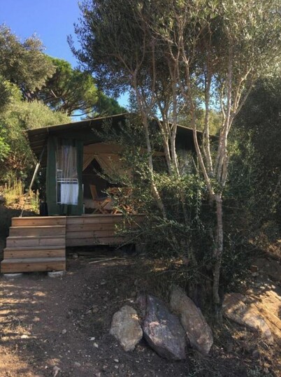LODGES 2 SAFARI LES LAURIERS ON LEVANT ISLAND