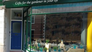 A storefront with a blue door and a window display of potted plants. - Bluebell Apartment (Swanage)