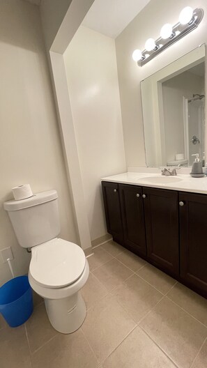 Shower, towels, toilet paper