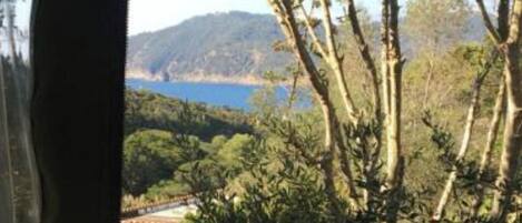 A room with a view of a coastal landscape, including trees and a body of water.