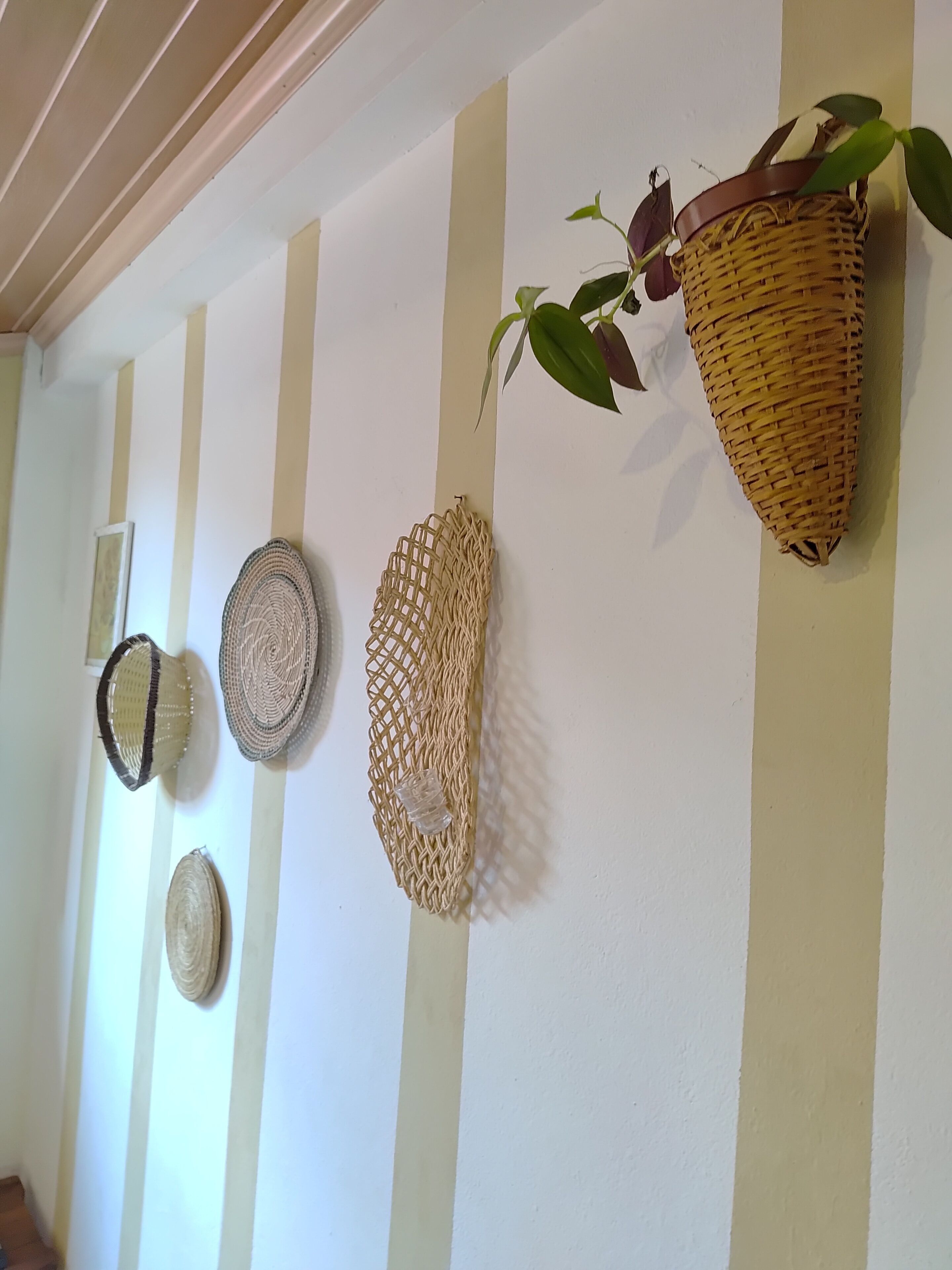 Photo - Pousada Lira Praieira Paraty