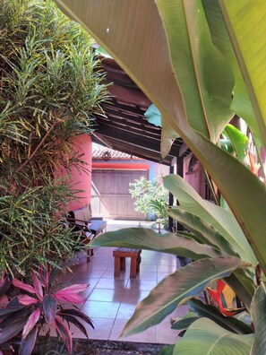Outdoor wedding area - Pousada Lira Praieira (Paraty)