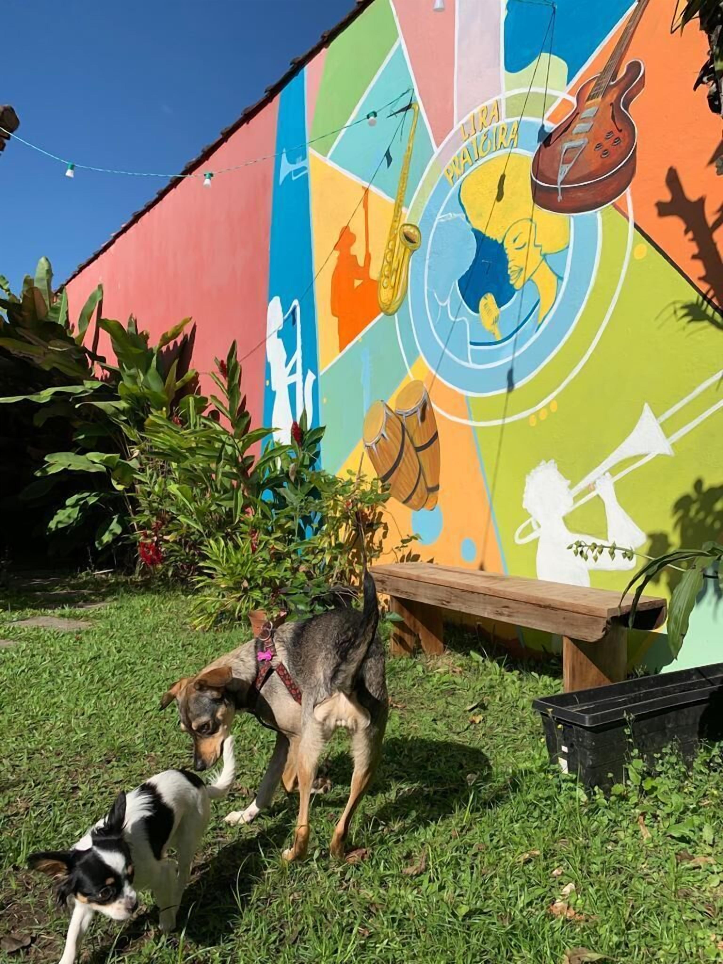 Foto - Pousada Lira Praieira Paraty