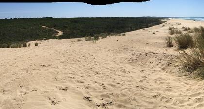 Oléron, house on the luminous island