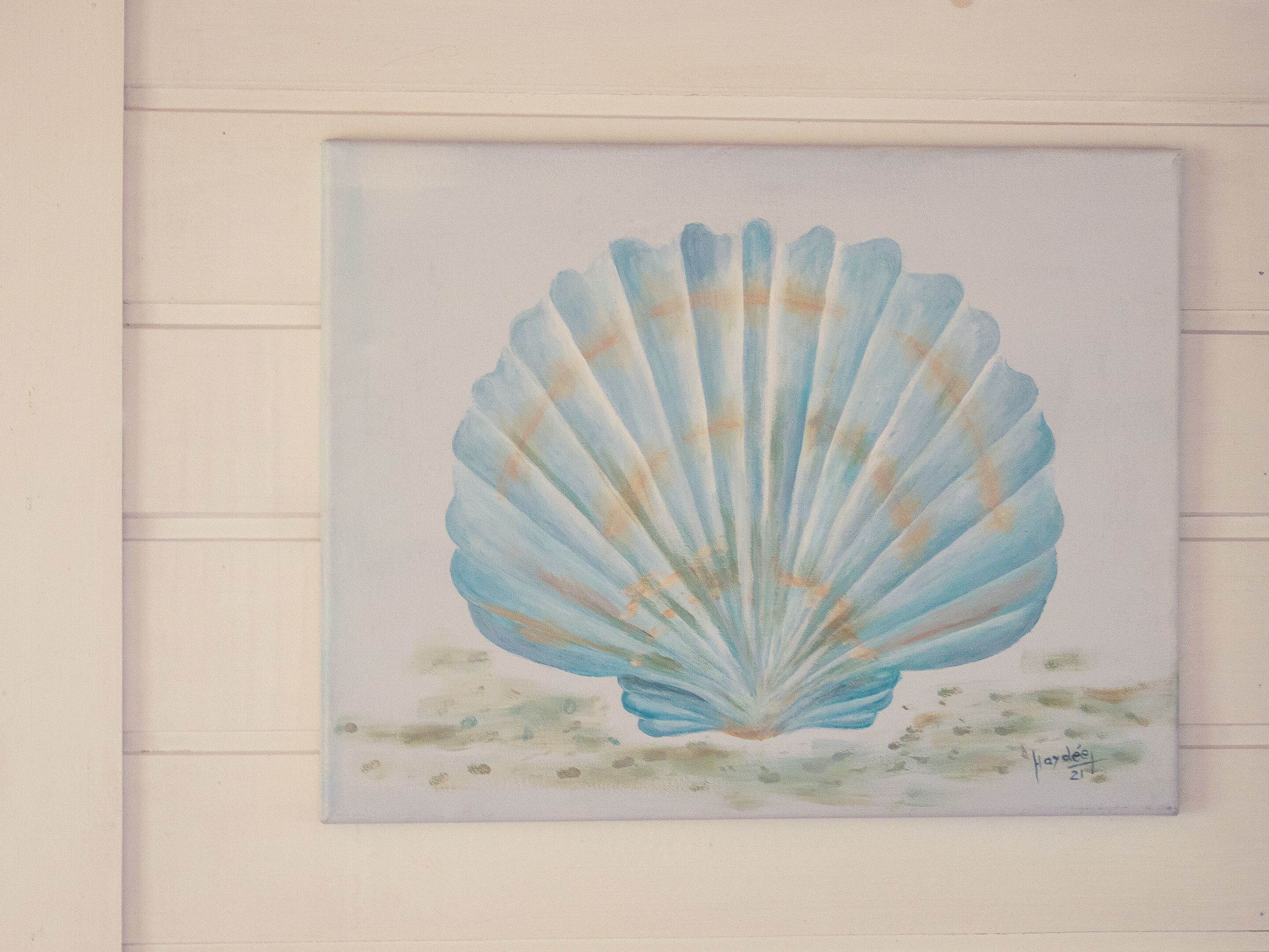 A framed artwork of a seashell on a wall.