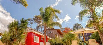 Bon Amour Punta del Diablo