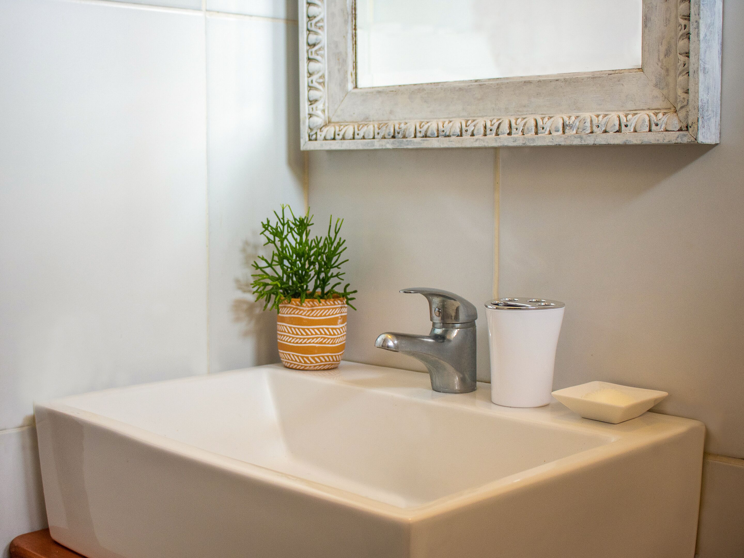 A bathroom with a white sink, a potted plant, a faucet, and a mirror.