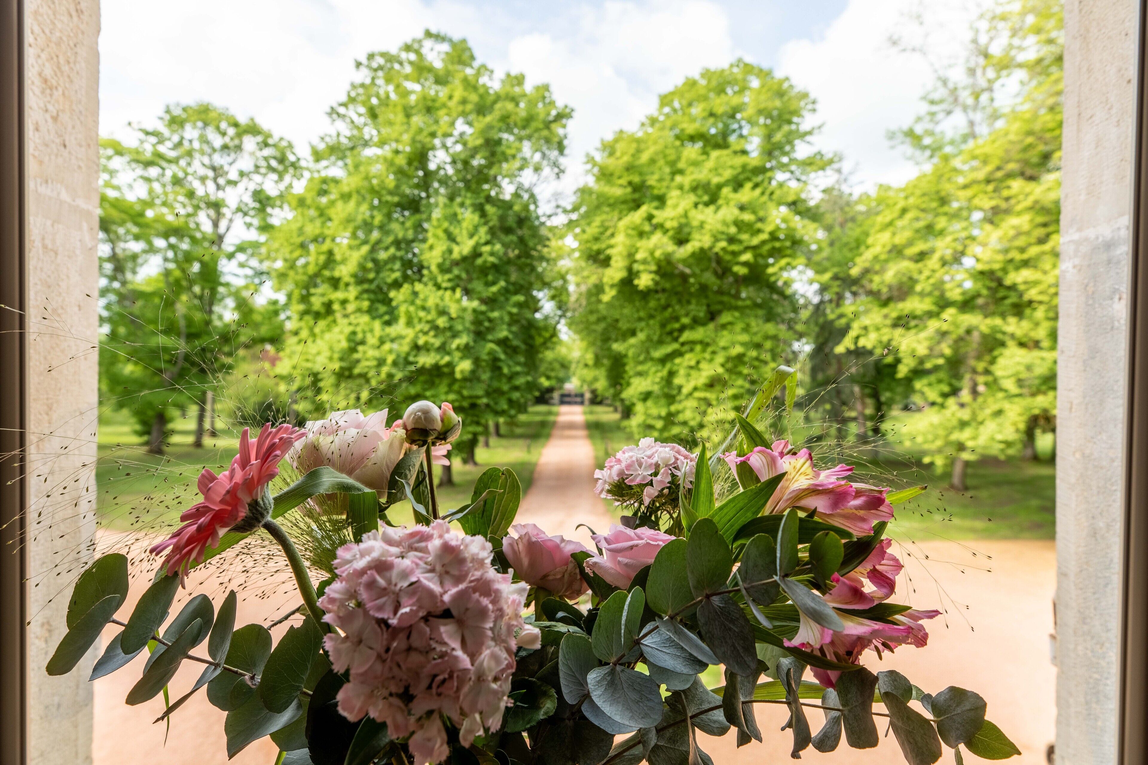 A view through a window with a garden path leading to a building, surrounded by lush greenery and pink flowers.
