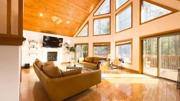 TV connectée, cheminée, jeux vidéo, livres