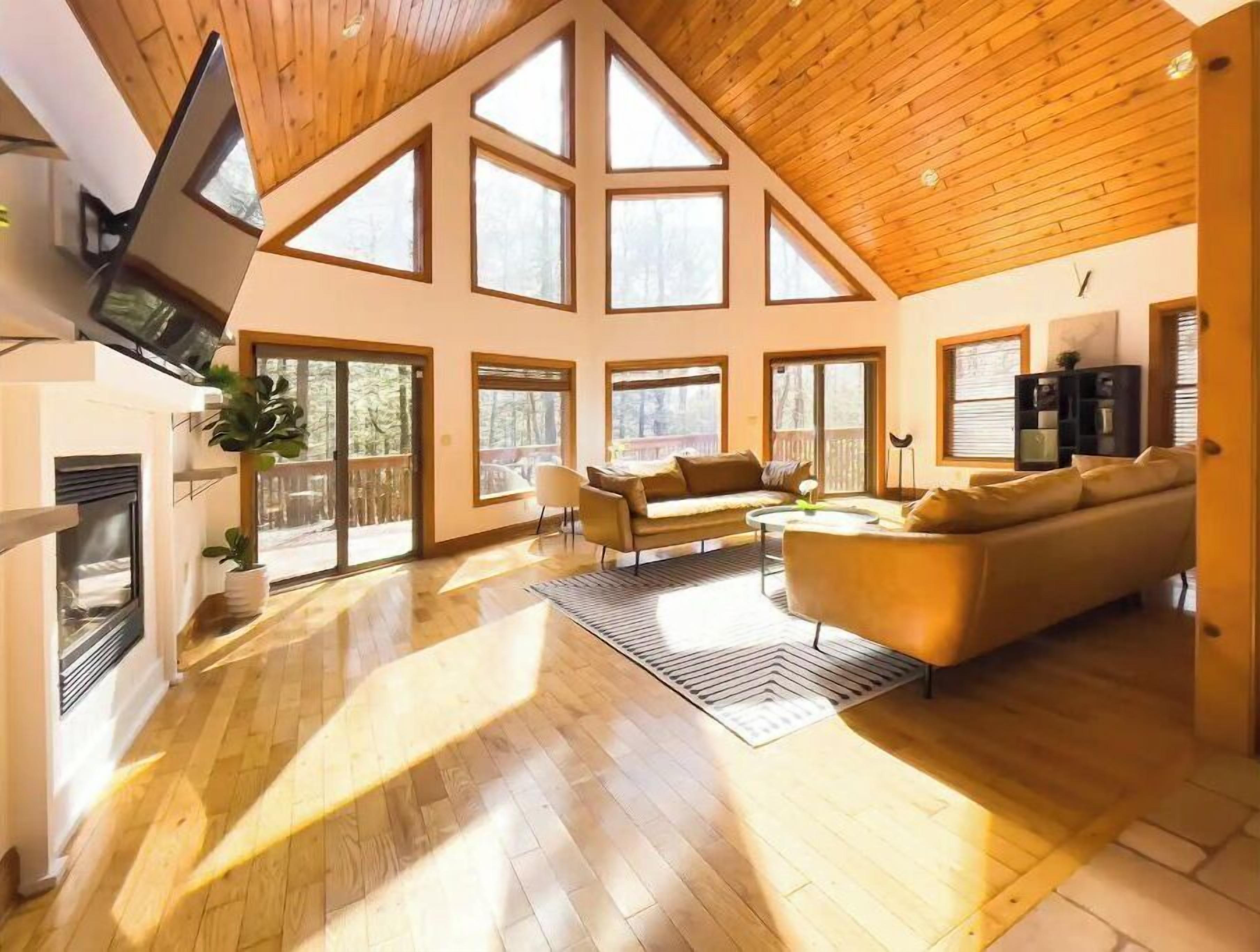 Smart TV, fireplace, video games, books
