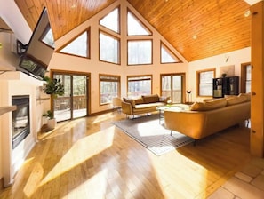 Smart TV, fireplace, video games, books