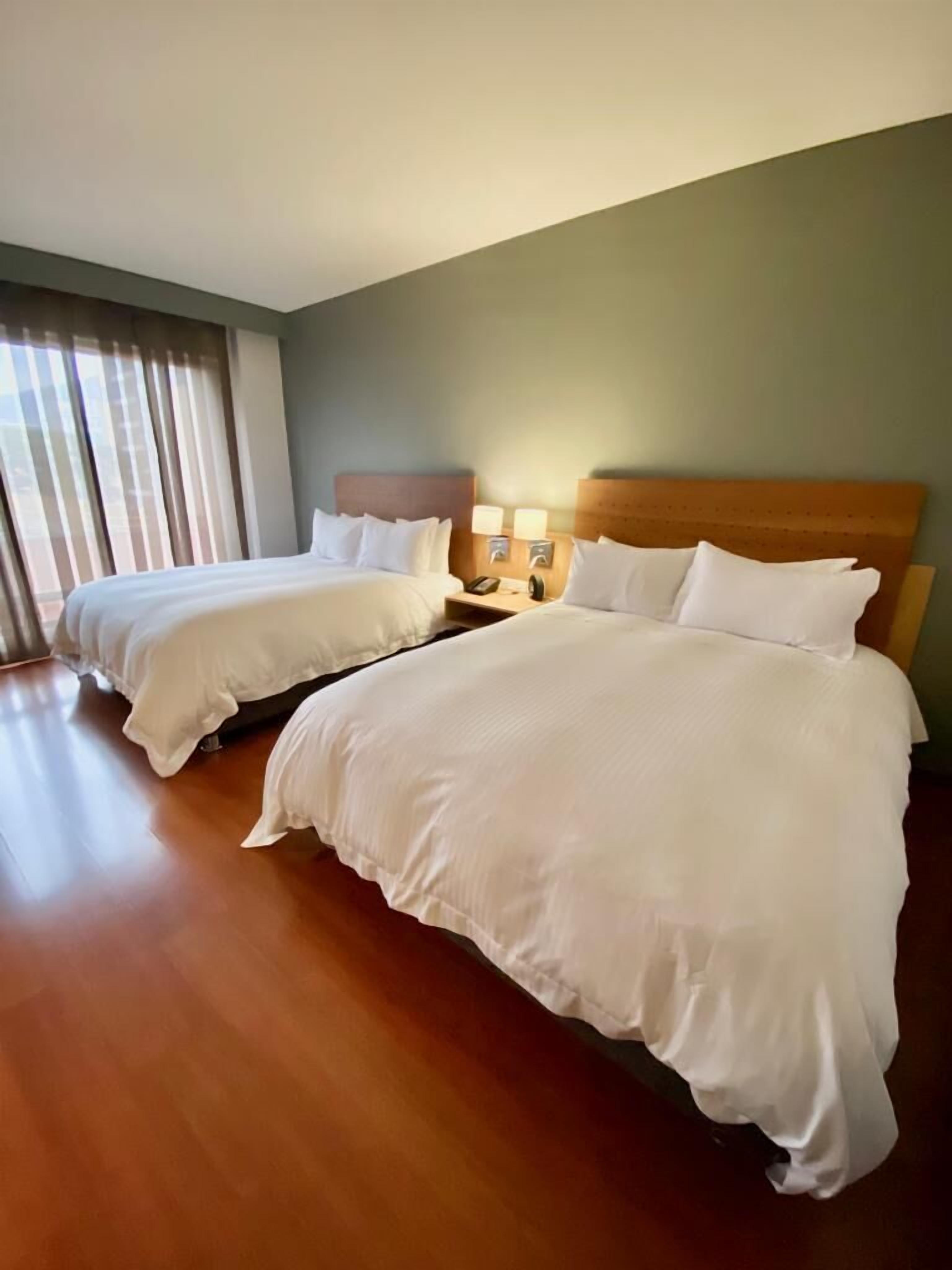 Photo - Cosmos 100 Executive