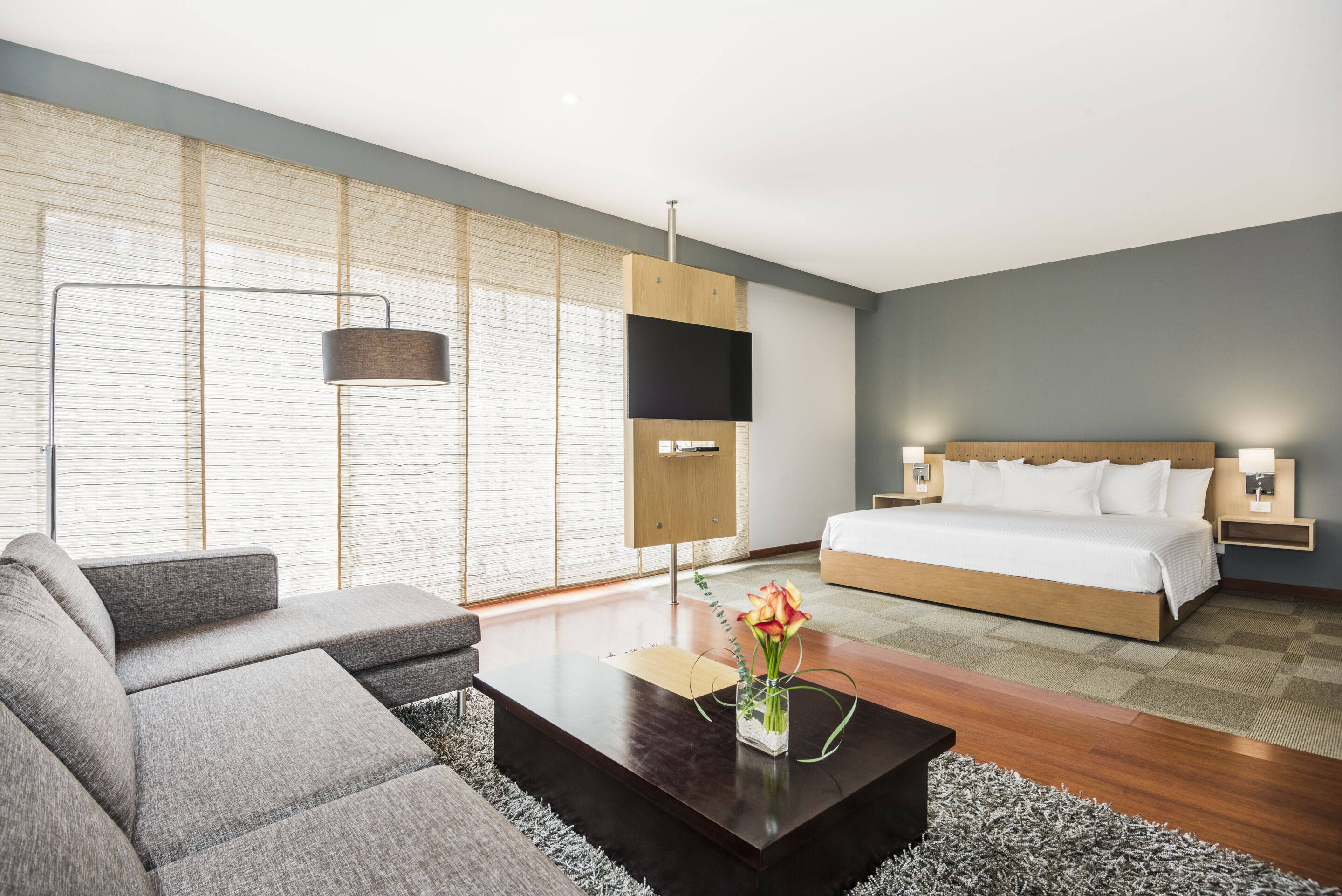 Photo - Cosmos 100 Executive