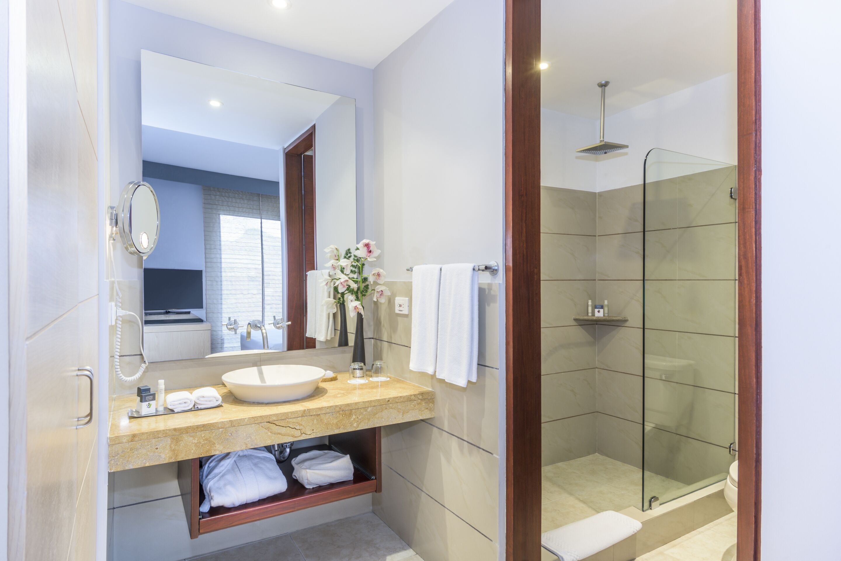 Photo - Cosmos 100 Executive