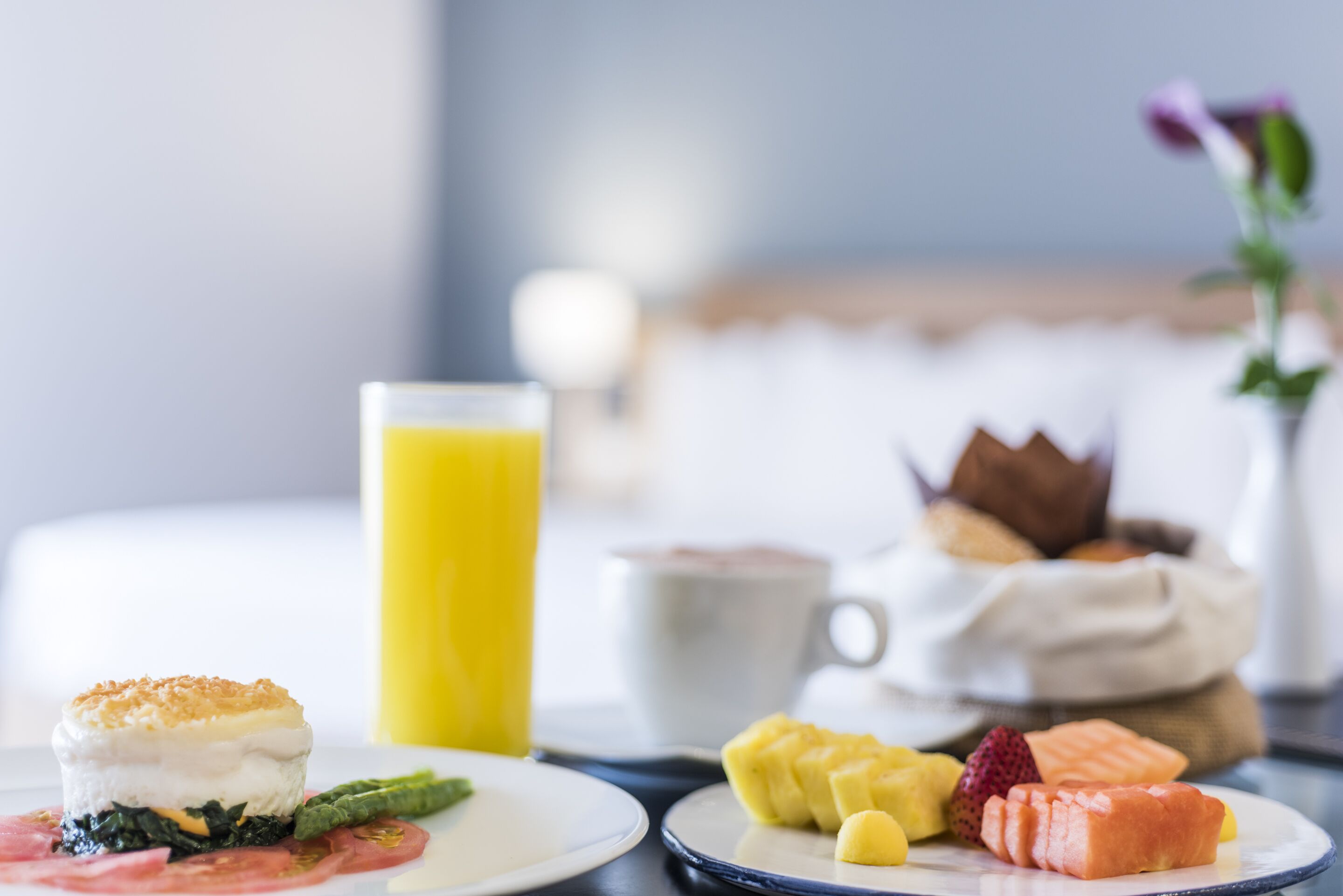 Photo - Cosmos 100 Executive